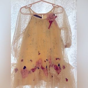 Biscotti Girls' Toddler Vintage Treasure Netting Long Sleeve Dress.